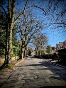 Darley Avenue