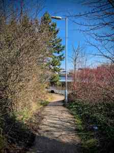 Mersey River Path, approaching the A5145
