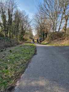 Fallowfield Loop, after Wellington Road