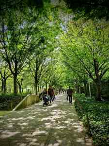 One of the paths through Parc Clichy-Batignolles – Martin Luther King
