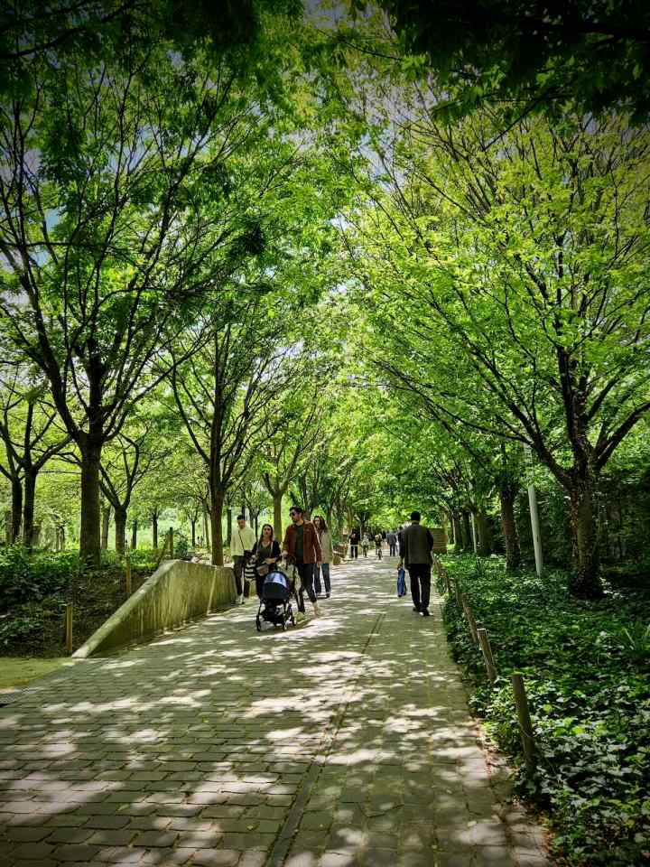 One of the paths through Parc Clichy-Batignolles – Martin Luther King