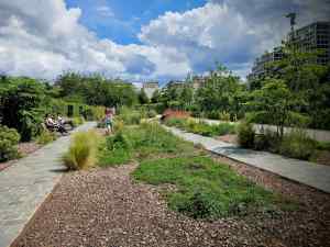 Planting in Parc Clichy-Batignolles – Martin Luther King