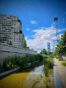 Pond in Parc Clichy-Batignolles – Martin Luther King
