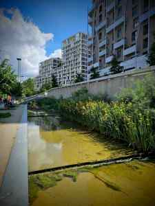Pond in Parc Clichy-Batignolles – Martin Luther King