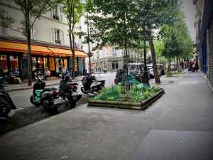 Large tree pit with planting on Rue des Batignolles