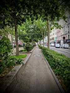 Cycle path in the middle of Boulevard de Clichy