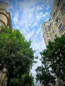 Buildings and trees on Rue du Mont-Cenis