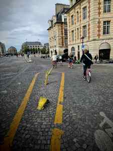 Squashed bollards on Pont Neuf