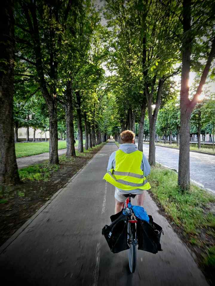 Tree-lined cycle path on Cours Albert 1er