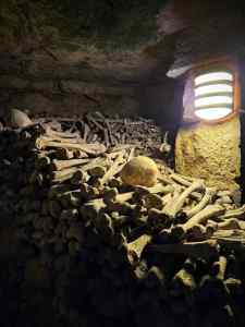Skulls and bones in the Paris Catacombs
