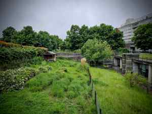 Garden in La Villette