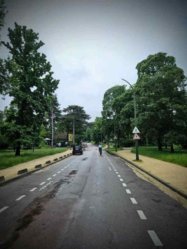 Road through Bois de Boulogne