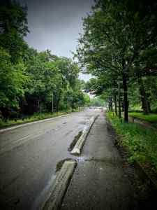 Kerb-protected cycle lane on Avenue de Saint-Cloud in Bois de Boulogne