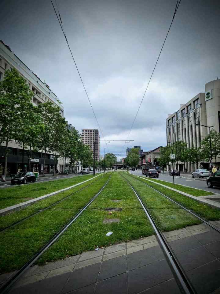 Green tram tracks on the T3b line