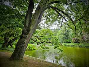 Beside the lake in Parc des Buttes-Chaumont