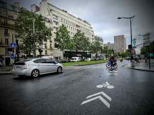 Sharrows across Boulevard Berthier