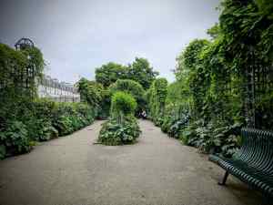 Planting and seating