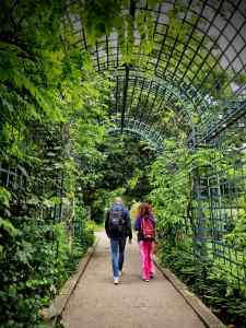 Walking along the path, arched planting above