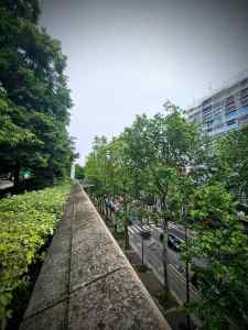 View along Avenue Daumesnil