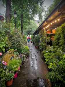 Marché aux Fleurs de Paris