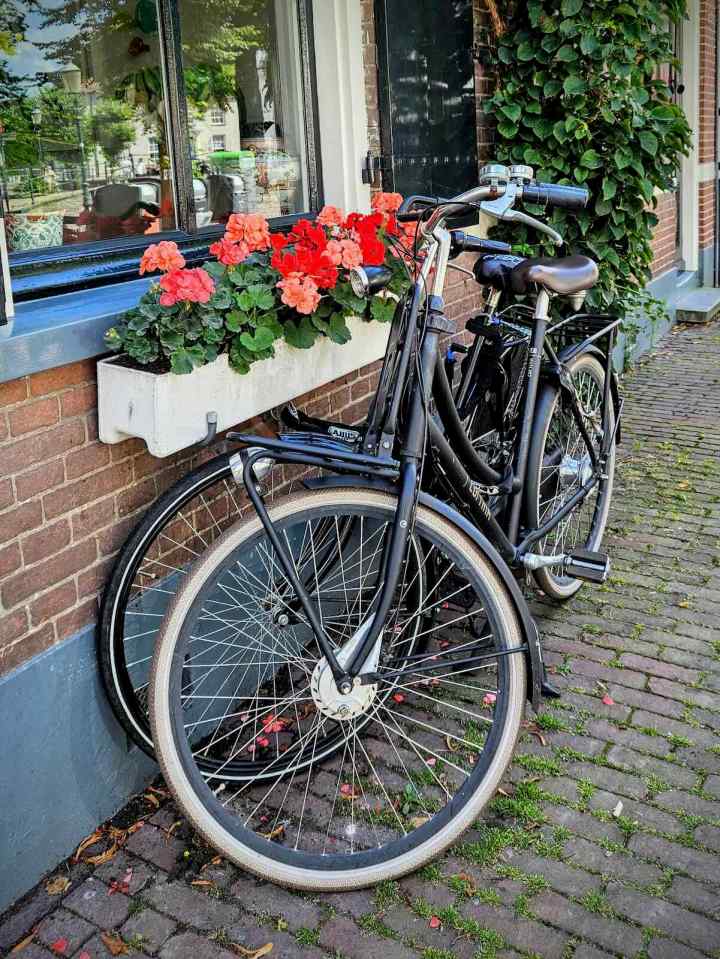 Bikes parked outside a house on Havik