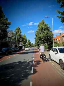 Painted lanes on Liendertseweg