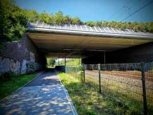 Passing under the Ecoduct Op Hees