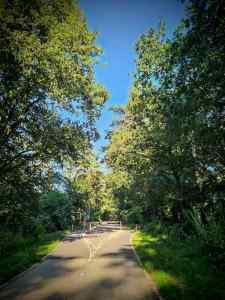 Filter on De Beaufortlaan