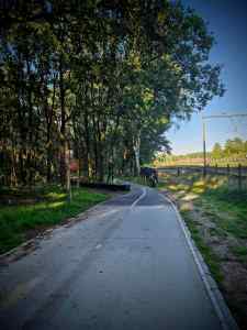 End of the concrete path on Monnikenboschpad