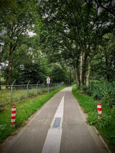 Concrete path between two bollards