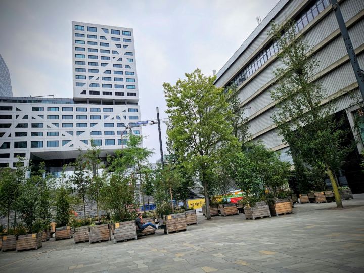 Lots of trees at Jaarbeursplein