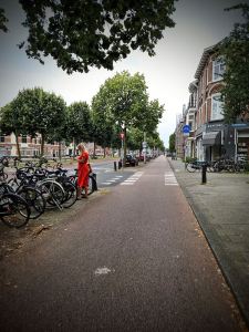 Cycle path on Vleutenseweg