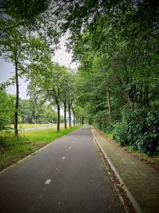 Cycle path next to Amersfoortseweg
