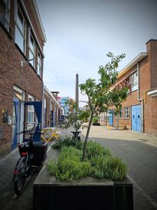 Looking down Oude Fabriekstraat