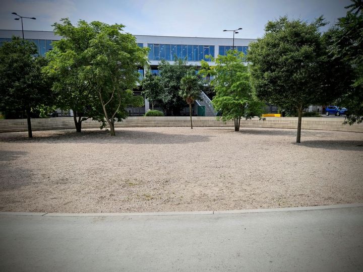 Trees at Oliemolenhof