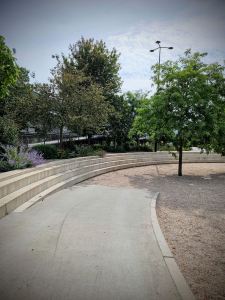 Trees and steps down at Oliemolenhof