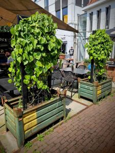 Courtyard garden at KROAST