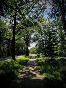 Cycle path on Van Weerden Poelmanweg