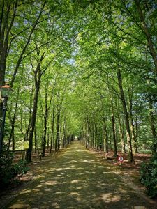 Path to the De Paltz estate