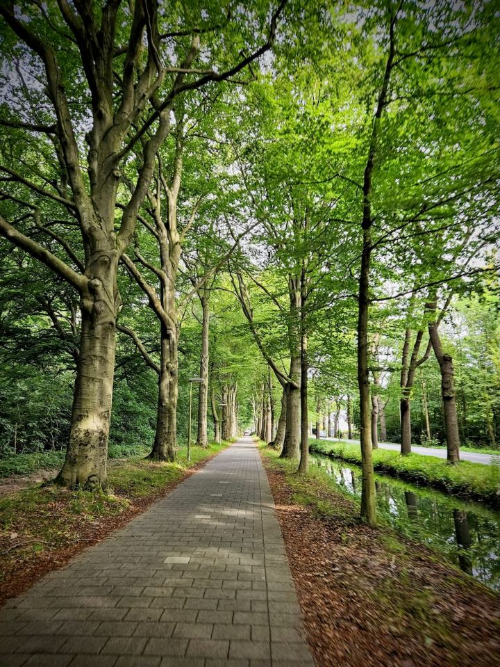 Paved bidirectional cycle path on Storm van 's-Gravesandeweg