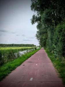 Concrete cycle path, next to the Zijwatering Canal