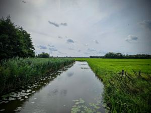 View along one of the arms off the Zijwatering Canal