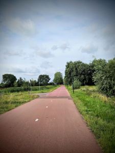 Cycle path on Ommedijkseweg, next to the A44