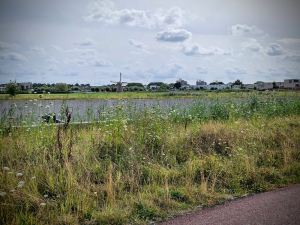 Looking across the N434, towards the Stevenshofjesmolen windmill