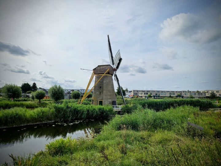 Stevenshofjesmolen windmill