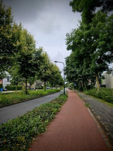 Cycle path on Deijlerweg