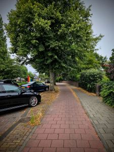 Paved cycle path on Van Zuylen van Nijeveltstraat