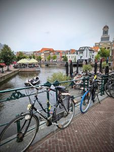 View across De Rijn from Hoogstraat