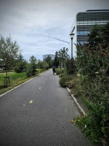Trambaan cycle path on Sylviusweg