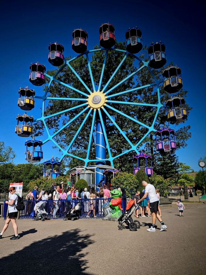 Kikkerrad ferris wheel